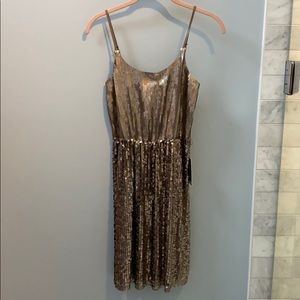 BNWT express sequin dress